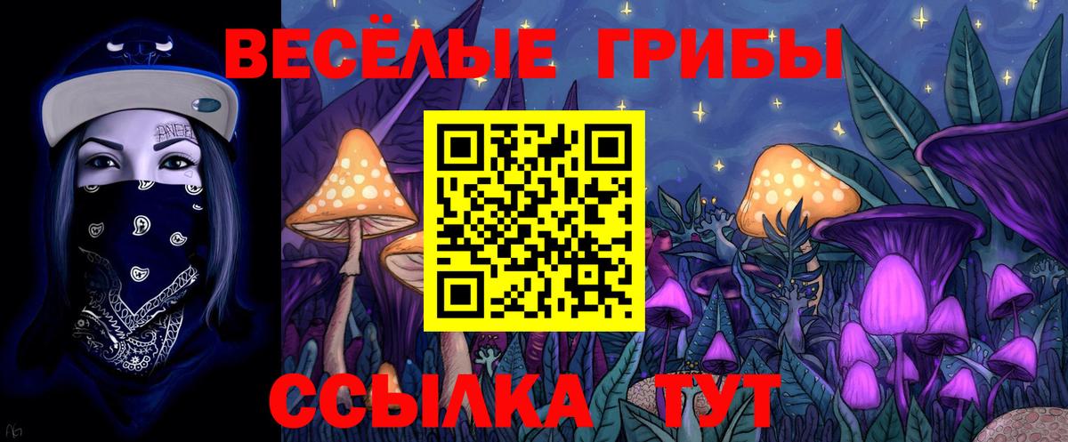 Дивногорск  дарнет шоп  Галлюциногенные грибы GOLDEN TEACHER  Вход с VPN  Псилоцибиновые грибы прущие грибы 